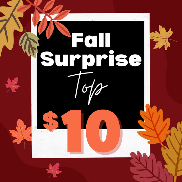 $10 surprise top {includes 1 adorable top!}
